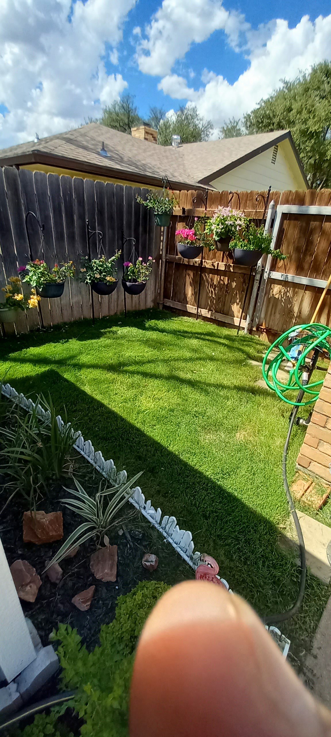 Lush mowed backyard with hanging flower baskets in San Angelo